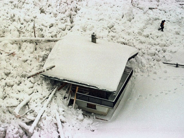 Bäume und Schneemassen liegen auf und neben einem Chalet Bäume und Schneemassen liegen auf und neben einem Chalet