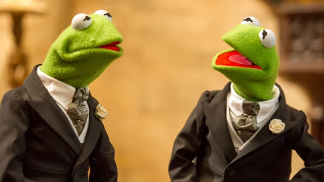 Filmszene: Zwei identisch aussehende Frosch-Puppen Filmszene: Zwei identisch aussehende Frosch-Puppen