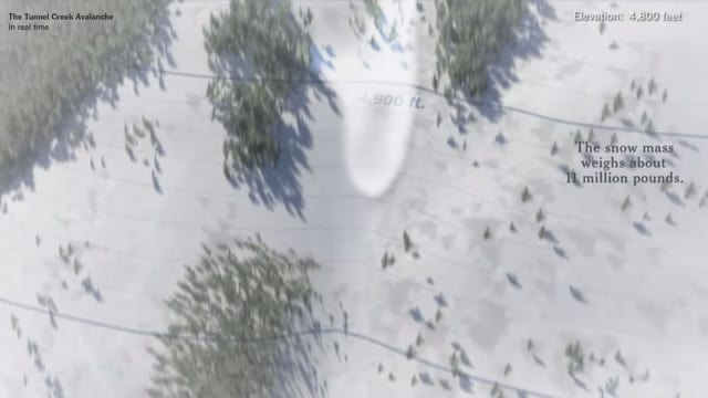 DIe Lawine rast den Berg hinunter DIe Lawine rast den Berg hinunter