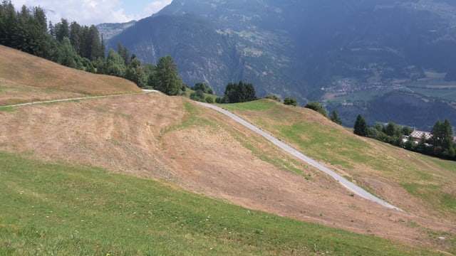 Abgemähtes Feld in Präz am Heinzenberg. Abgemähtes Feld in Präz am Heinzenberg.