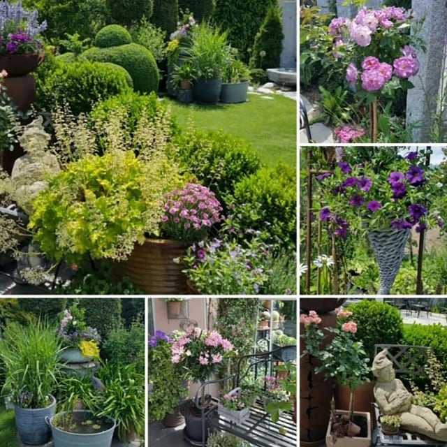 Collage mit Gartenfotos.