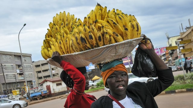 Uganda. Uganda.