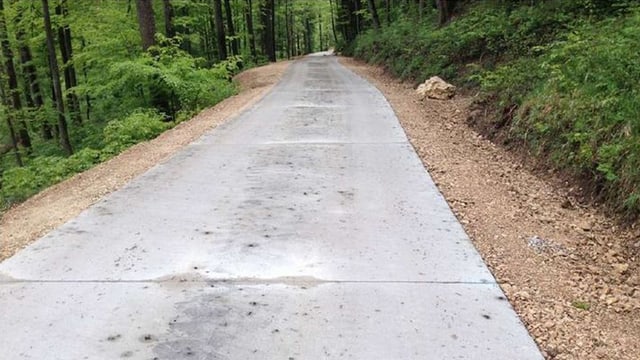 Waldweg mit Betonbelag. Waldweg mit Betonbelag.