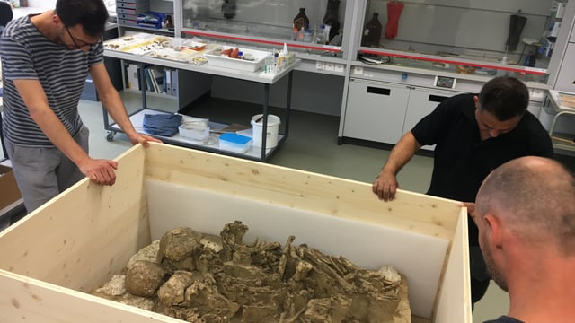 Drei Männer verpacken ein Grab aus der Jungsteinzeit. Drei Männer verpacken ein Grab aus der Jungsteinzeit.