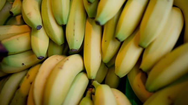 Ursula Brunner: Die mutige Bananenfrau