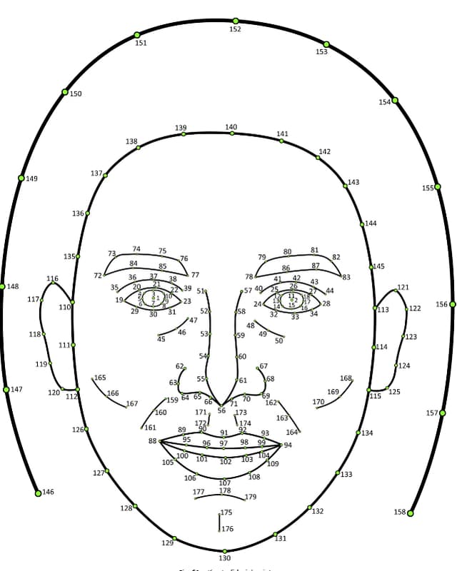Eine Skizze eines Gesichtes, in dem mit Nummern die "Messpunkte" verzeichnet sind, die britische Psychologen für ihre Analysen verwendeten. Eine Skizze eines Gesichtes, in dem mit Nummern die "Messpunkte" verzeichnet sind, die britische Psychologen für ihre Analysen verwendeten.