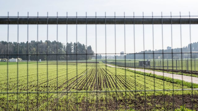 Grüne Furchen ziehen sich durch ein Feld, das man durch ein Gitter hindurch sieht.