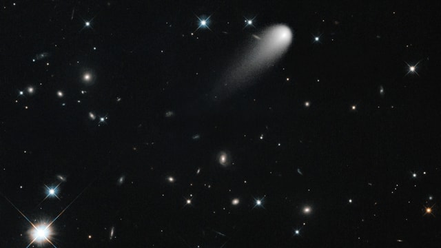 Der Komet Ison am sternenbedeckten Firmament. Der Komet Ison am sternenbedeckten Firmament.