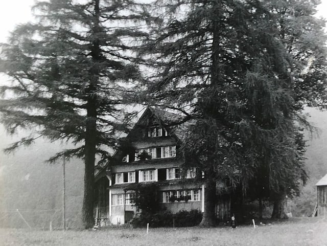 Ein altes Haus zwischen zwei Bäumen. Ein altes Haus zwischen zwei Bäumen.