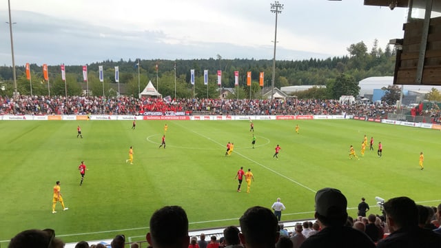 Brügglifeld Brügglifeld