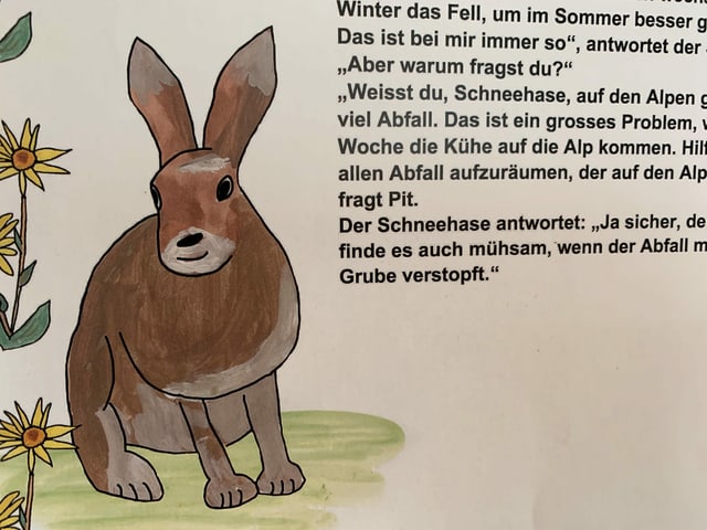 Gezeichneter Schneehase und Text in einem Bilderbuch. Gezeichneter Schneehase und Text in einem Bilderbuch.