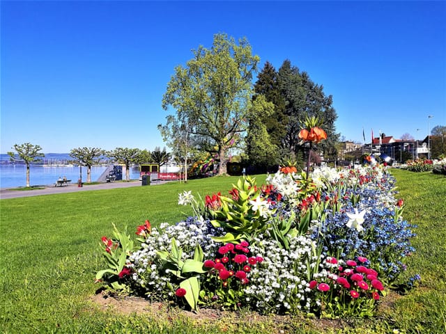 Blumenwiese