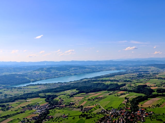 Blick von oben auf den blauen Hallwilersee und den fast wolkenlos Himmel.