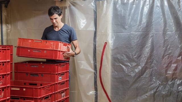 Benjamin Steiner kontrolliert eine Box Benjamin Steiner kontrolliert eine Box
