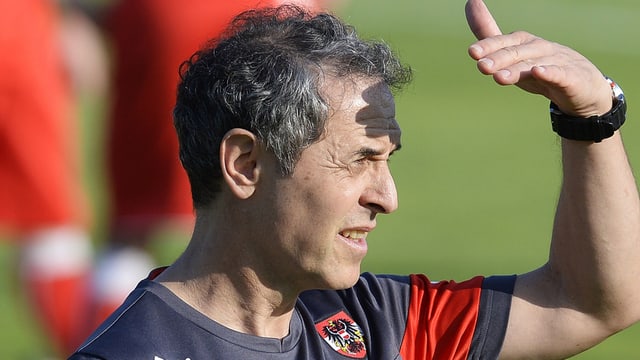 Österreich-Trainer Marcel Koller blickt in die Weite. Österreich-Trainer Marcel Koller blickt in die Weite.