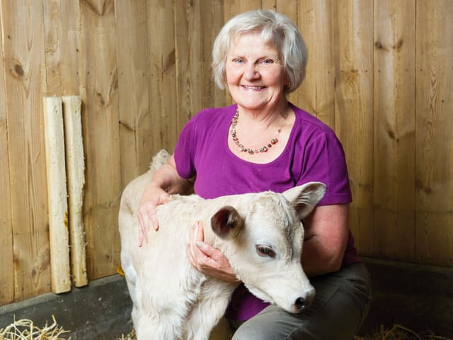 Sylvia und ein Kälbchen. Sylvia und ein Kälbchen.