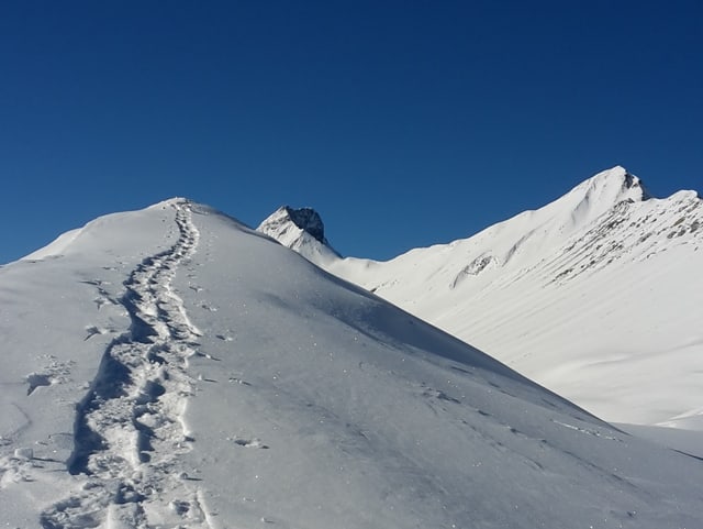 Spuren im Schnee.