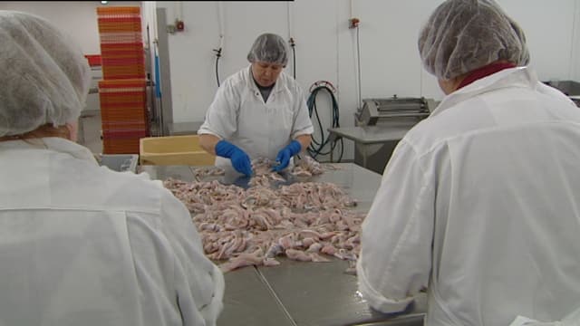 Schweizer bevorzugen kleine Fische Schweizer bevorzugen kleine Fische