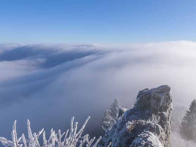 Wolkendecke von oben, darüber blauer Himmel mit Sonnenschein. Im Vordergrund Äste und Felsen mit Reif.