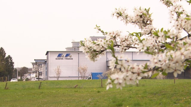 Fabrikgebäude im Grünen. Fabrikgebäude im Grünen.