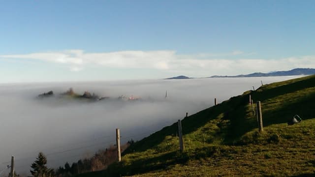 Am Samstag schaute in Schwellbrunn nur der Kirchturm aus dem Nebel. Am Samstag schaute in Schwellbrunn nur der Kirchturm aus dem Nebel.