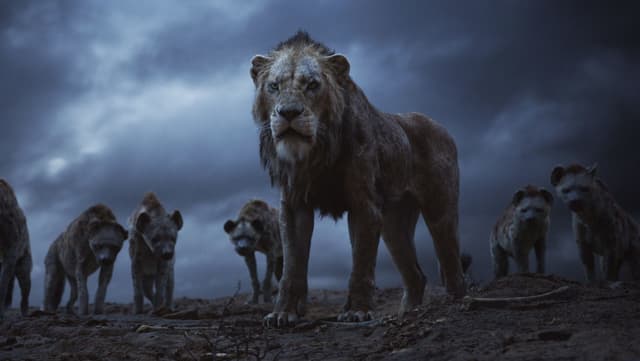 Ein Löwe steht vor einer Horde Hyänen. Ein Löwe steht vor einer Horde Hyänen.