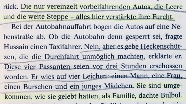 Foto einer Textpassage aus «Der Tod ist ein mühseliges Geschäft» Foto einer Textpassage aus «Der Tod ist ein mühseliges Geschäft»