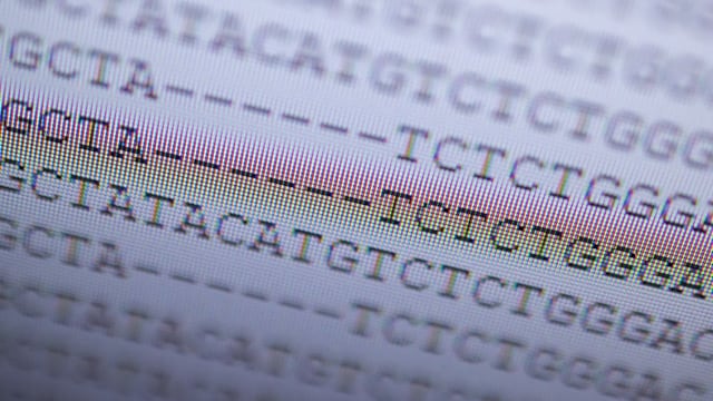 DNA-Analyse der britischen Virus-Variante auf PC-Bildschirm