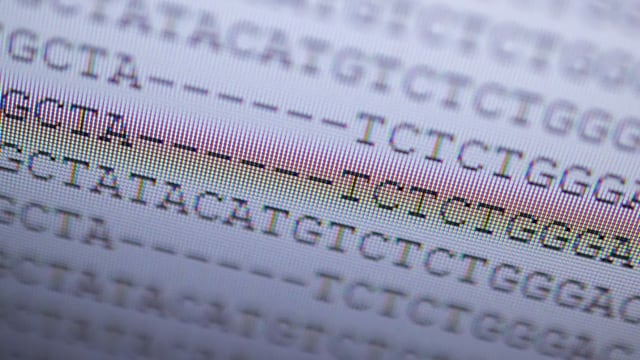 DNA-Analyse der britischen Virus-Variante auf PC-Bildschirm DNA-Analyse der britischen Virus-Variante auf PC-Bildschirm