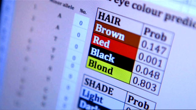 Bildschirmausschnitt eines forensischen DNA-Analyse-Programms, das gerade Wahrscheinlichkeiten für Haarfarben anzeigt. Bildschirmausschnitt eines forensischen DNA-Analyse-Programms, das gerade Wahrscheinlichkeiten für Haarfarben anzeigt.