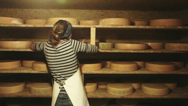 Frau stellt Käse ins Regal Frau stellt Käse ins Regal