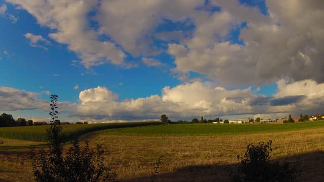 Blick über ein Feld. Darüber verschiedenartige Quellwolken. Blick über ein Feld. Darüber verschiedenartige Quellwolken.