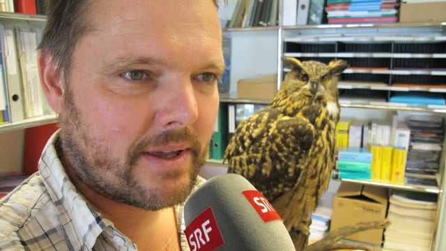Wildbiologe Mark Struch über die Solothurner Krähen (25.03.2014)