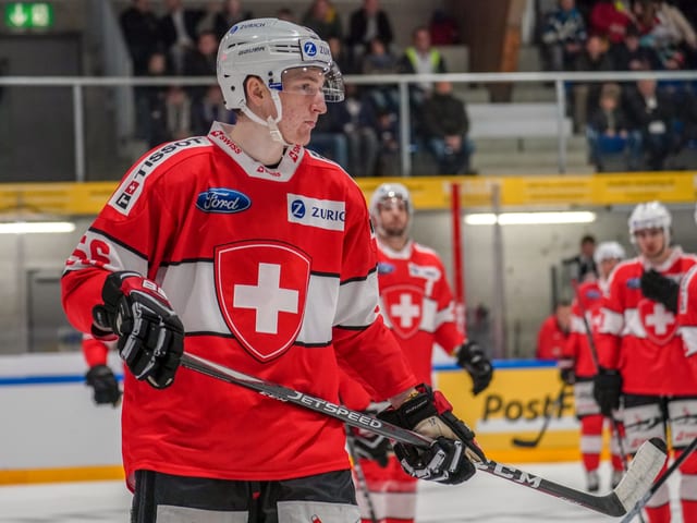Moser auf dem Eis
