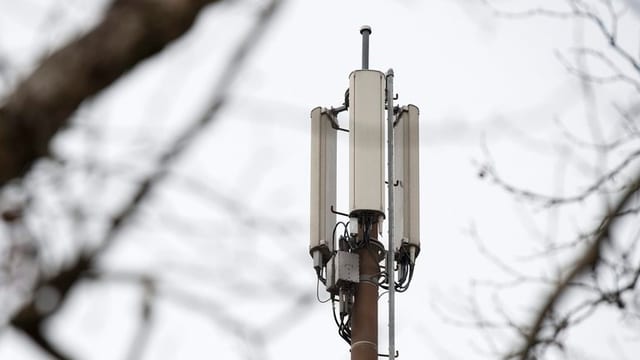 Eine Mobilfunkantenne im Bild, im Vordergrund Äste von Bäumen Eine Mobilfunkantenne im Bild, im Vordergrund Äste von Bäumen