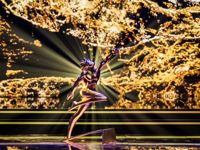 Der Sports Award. Der Sports Award.