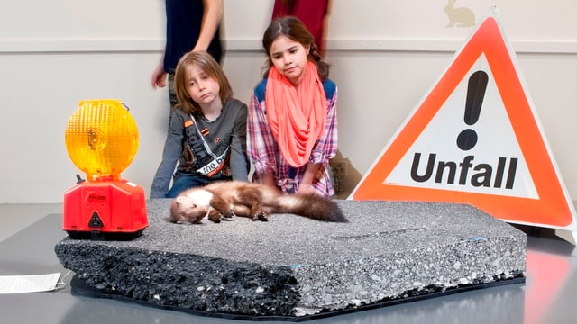 Zwei Kinder betrachten einen totgefahrenen Marder, der in der Ausstellung gezeigt wird. Zwei Kinder betrachten einen totgefahrenen Marder, der in der Ausstellung gezeigt wird.