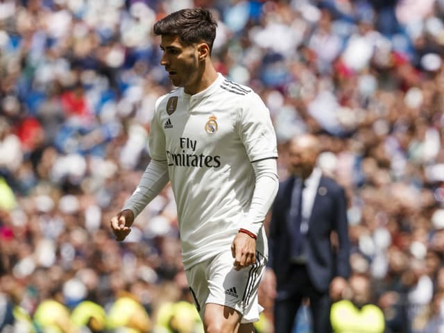 Asensio Asensio