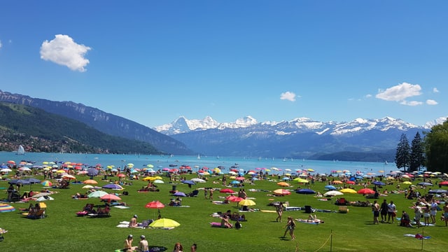 Die Strandbäder waren 2019 gut besucht, so auch in Thun. Die Strandbäder waren 2019 gut besucht, so auch in Thun.