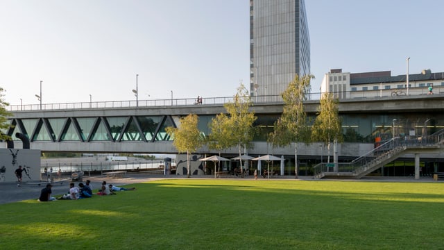 Die Basler Dreirosenbrücke mit Hochhaus im Hintergrund und Wiese im Vordergrund. Die Basler Dreirosenbrücke mit Hochhaus im Hintergrund und Wiese im Vordergrund.