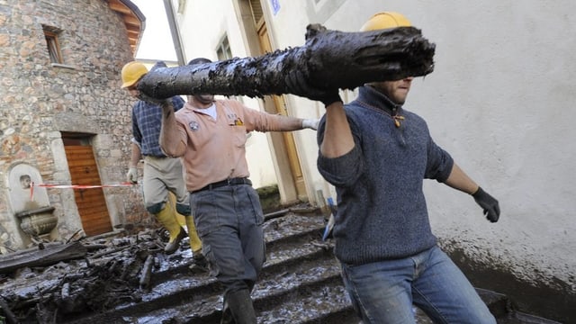 Arbeiter schleppen einen Baumstamm Arbeiter schleppen einen Baumstamm