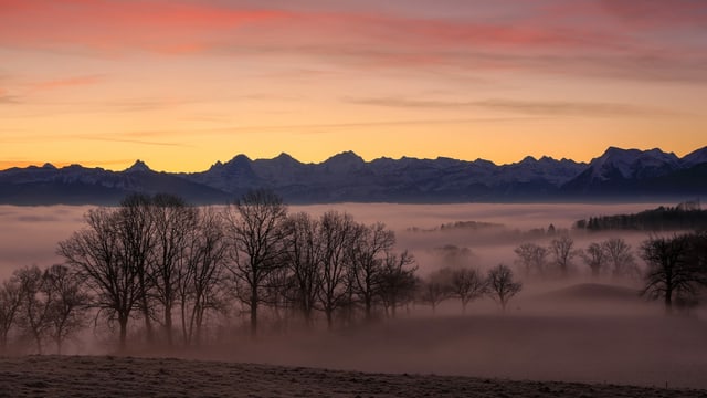 Morgenrot über dem Nebelmeer.