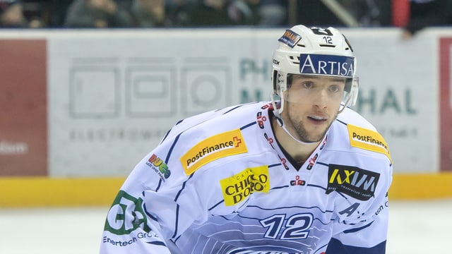 Daniele Grassi. Daniele Grassi.