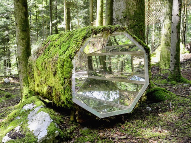 Ein riesiges, bemoostes Kalaidoskop im Wald. Ein riesiges, bemoostes Kalaidoskop im Wald.