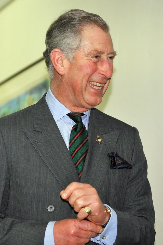 royal wer sind die windsors eine kleine familiengeschichte teil 2 glanz gloria srf