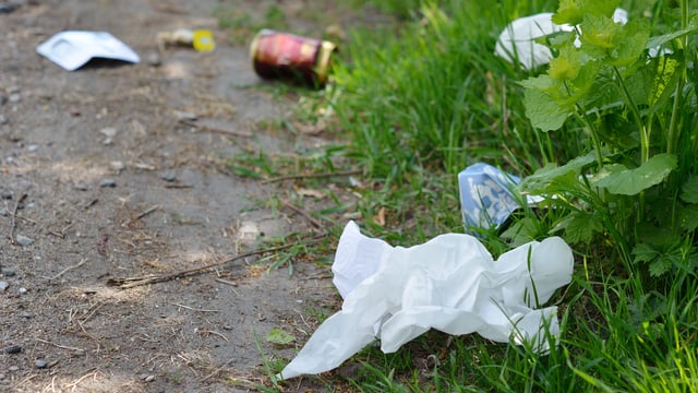 Abfall auf Wiese Abfall auf Wiese