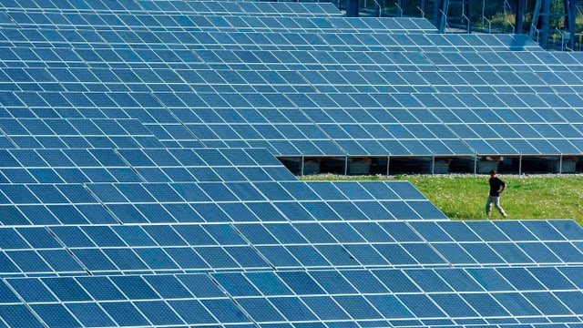 Solarpanels auf einer Wiese. Solarpanels auf einer Wiese.