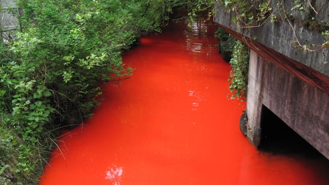 Roter Bach. Roter Bach.