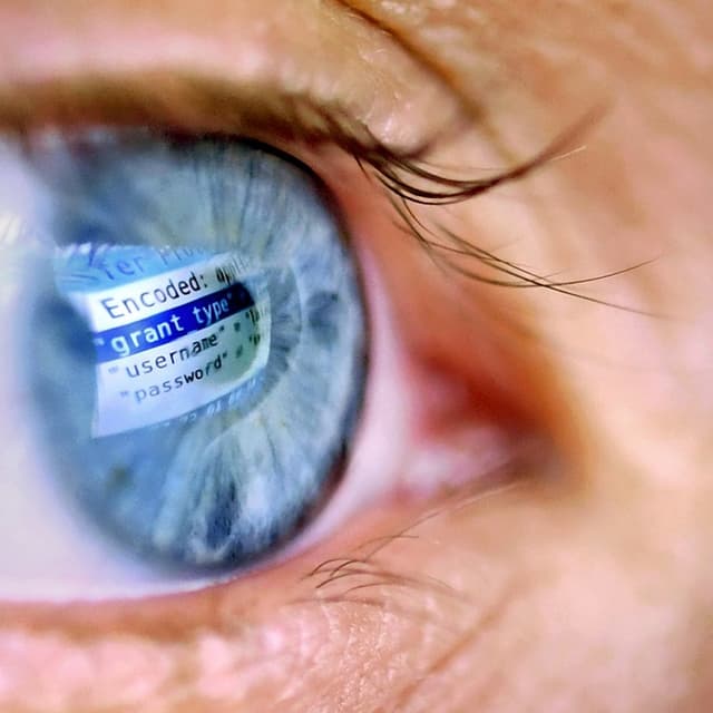 Ein Computer spiegelt sich in einer Iris. Ein Computer spiegelt sich in einer Iris.