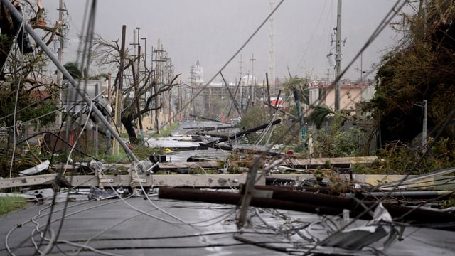 Strasse auf Puerto Rico mit umgefallenen Strommasten übresät. Strasse auf Puerto Rico mit umgefallenen Strommasten übresät.